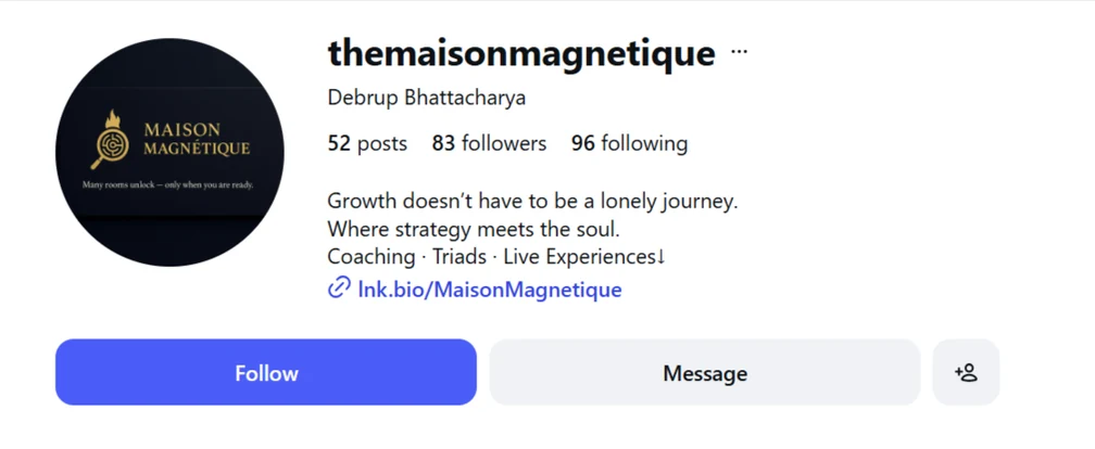 Instagram profile of @themaisonmagnetique (Maison Magnétique) as supplied for the case study